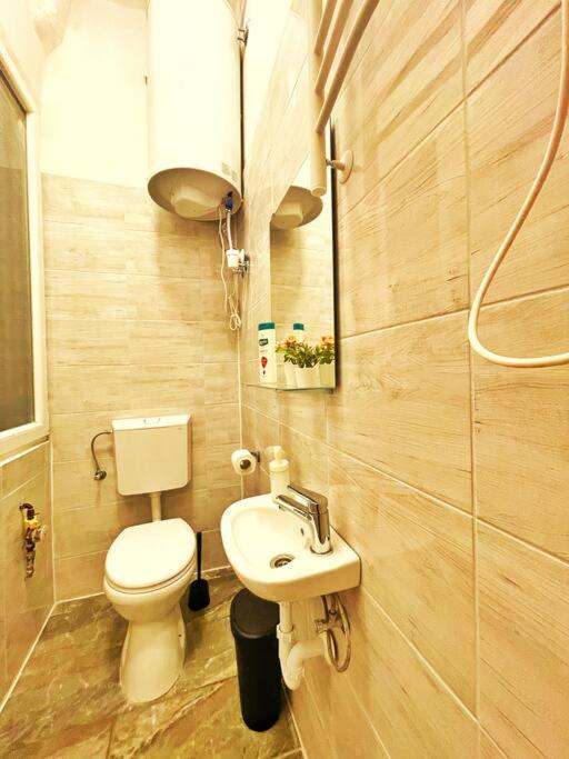 Central Studio Flat Budapest Ngoại thất bức ảnh